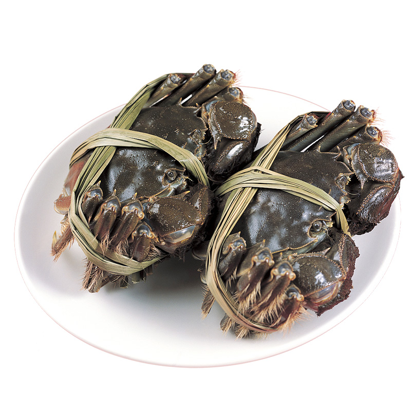 阳澄湖大闸蟹